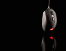 Thumbnail 15