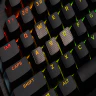 Thumbnail 61