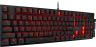 Thumbnail 23