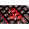 Thumbnail 22