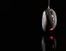 Thumbnail 15