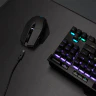 Thumbnail 47